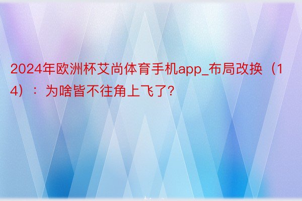 2024年欧洲杯艾尚体育手机app_布局改换（14）：为啥皆不往角上飞了？