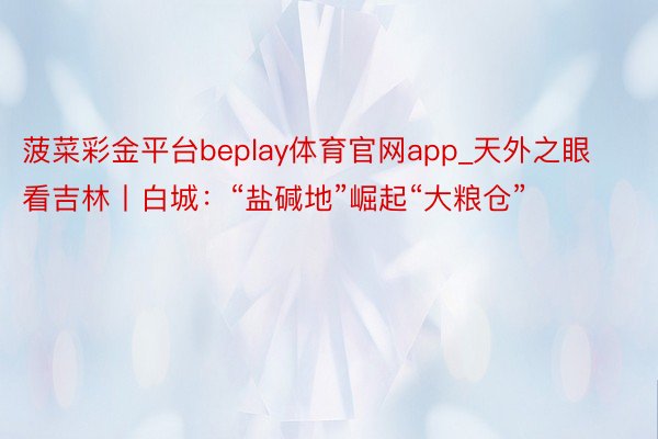 菠菜彩金平台beplay体育官网app_天外之眼看吉林丨白城：“盐碱地”崛起“大粮仓”